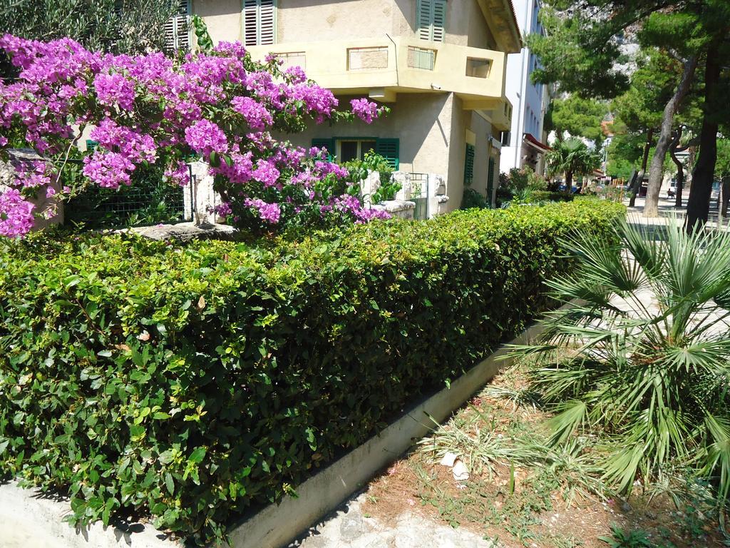 Omis Apartment On The Beach Exteriör bild